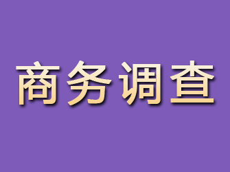 武江商务调查